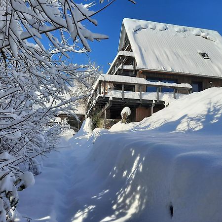 הוילה סייגסדורף Haus Mit Bergblick מראה חיצוני תמונה
